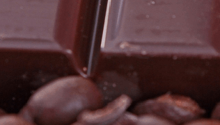 Coffee__Cacao.png