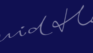 David_Hazes_makelaardij_1000_x_180.png