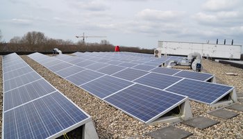 Zonnepanelen